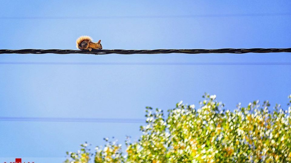 انسان و طبیعت