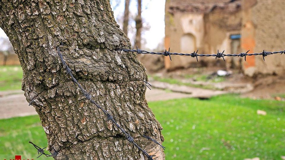 انسان و طبیعت