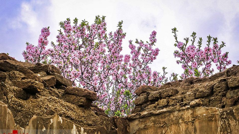 انسان و طبیعت