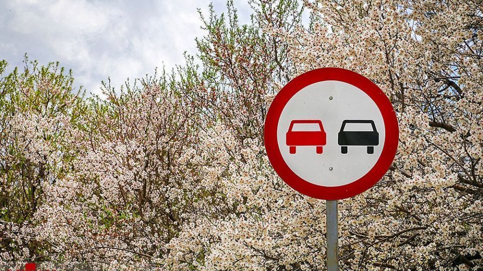 انسان و طبیعت