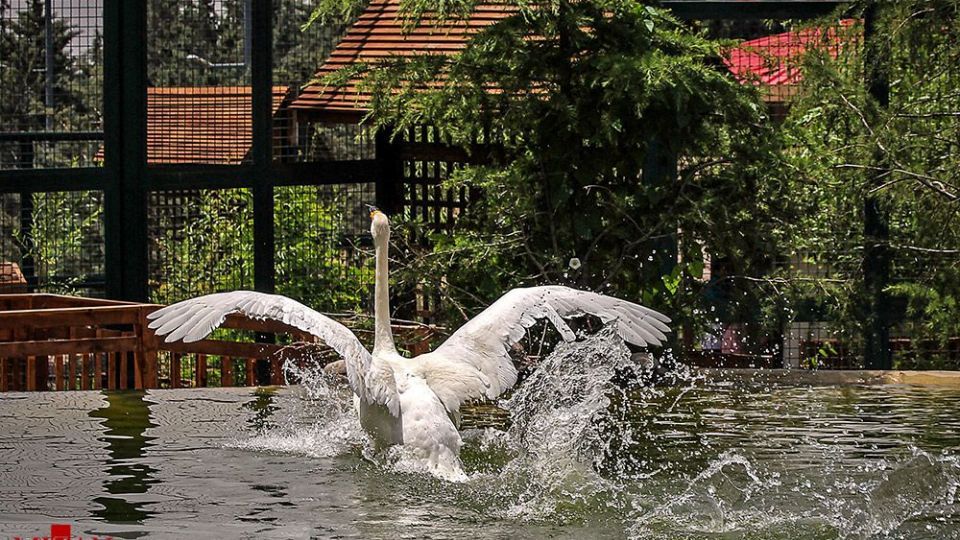 انسان و طبیعت