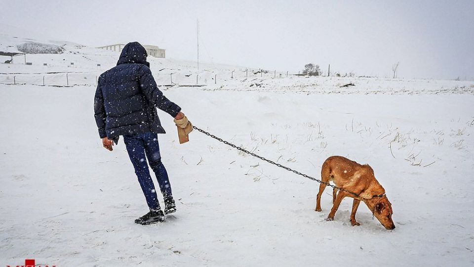 انسان و طبیعت