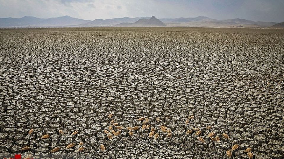 انسان و طبیعت