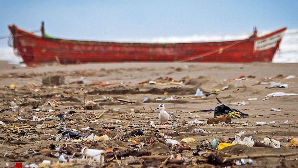 انسان و طبیعت