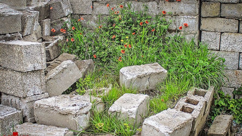 انسان و طبیعت