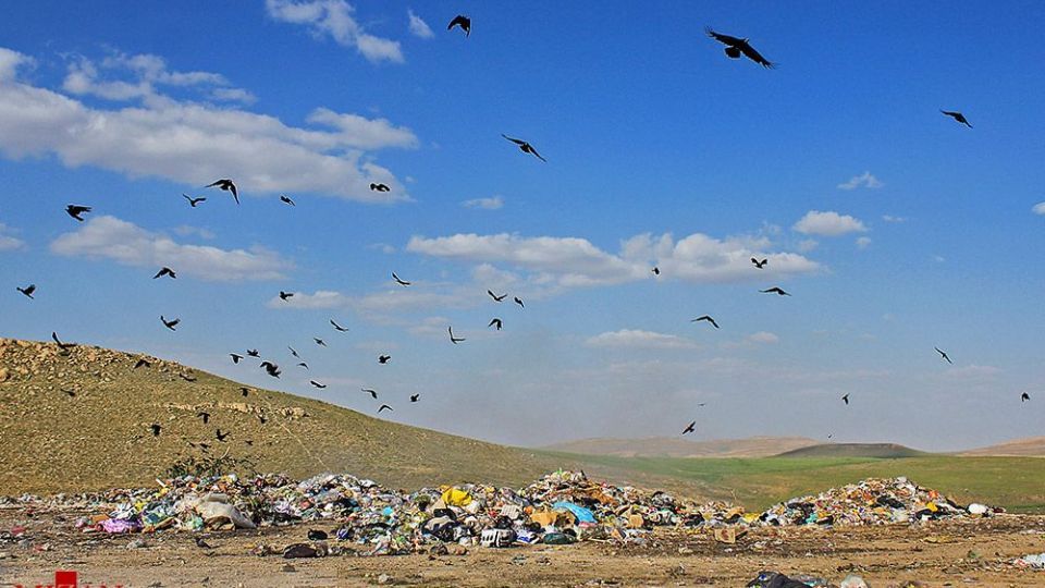 انسان و طبیعت