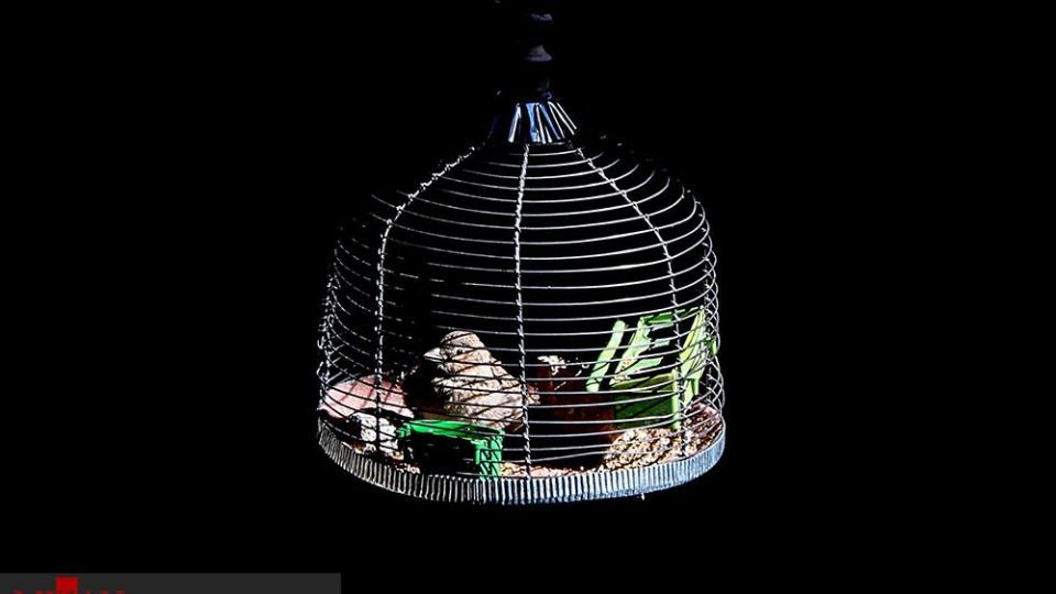 انسان و طبیعت