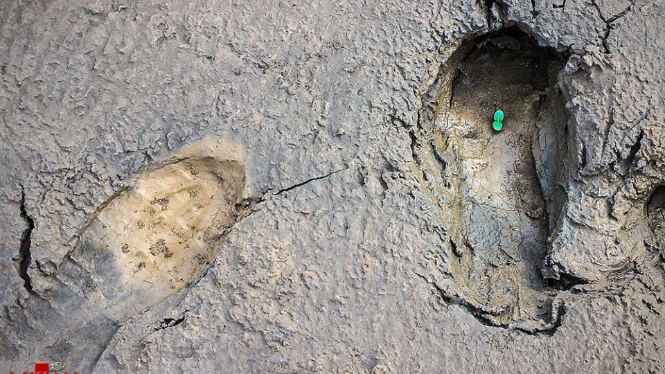 انسان و طبیعت