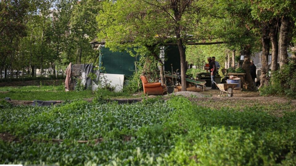 کشت سبزی با فاضلاب شهری