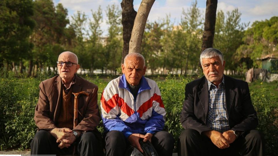 کشت سبزی با فاضلاب شهری