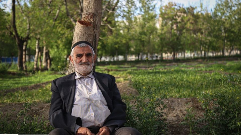 کشت سبزی با فاضلاب شهری