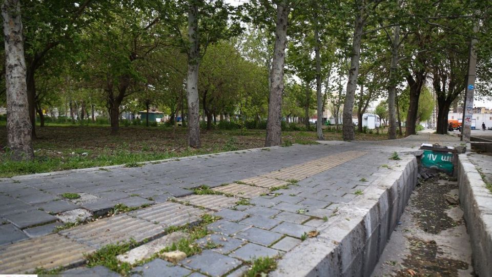 کشت سبزی با فاضلاب شهری