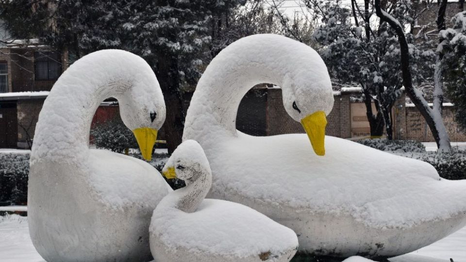 بارش اولین برف بهاری در قوچان