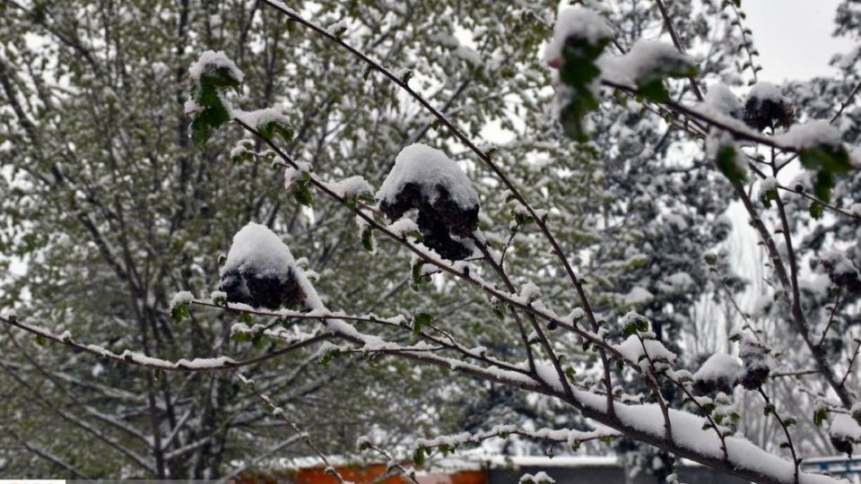بارش اولین برف بهاری در قوچان