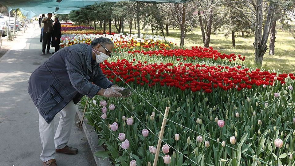 لاله‌ای برای مادران