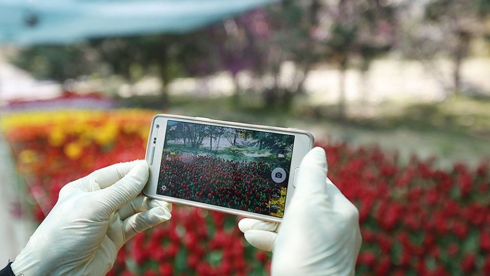 لاله‌ای برای مادران