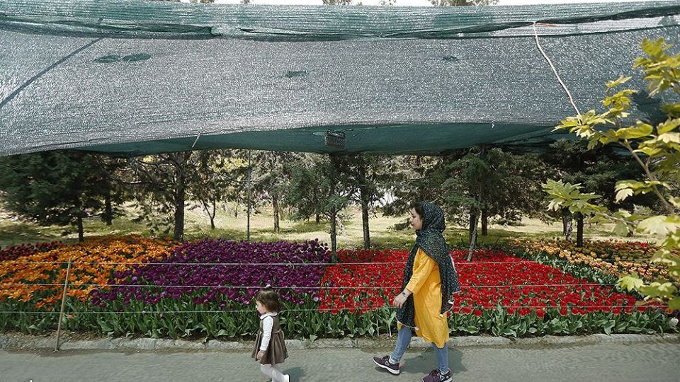 لاله‌ای برای مادران