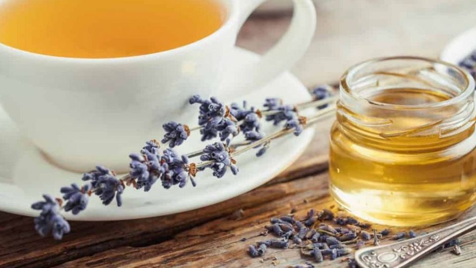 خواص دمنوش گیاهی اسطوخودوس را بشناسید خواص دمنوش گیاهی اسطوخودوس را بشناسید