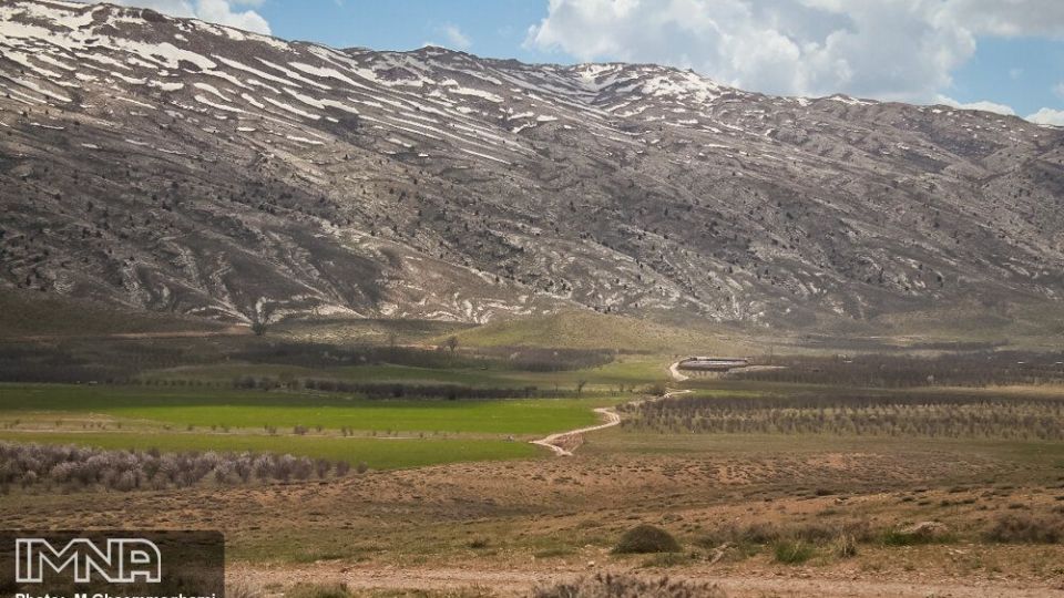 دشت لاله های واژگون سمیرم