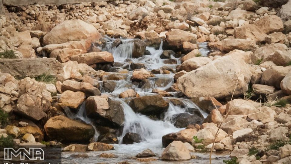 دشت لاله های واژگون سمیرم