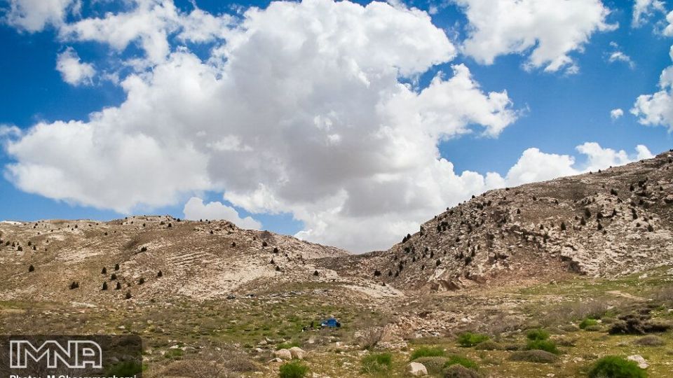 دشت لاله های واژگون سمیرم