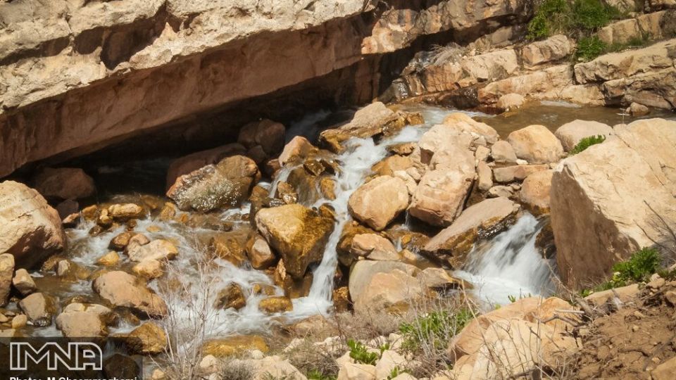 دشت لاله های واژگون سمیرم