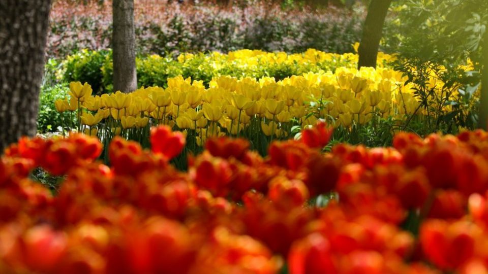 باغ ایرانی، بهشتی برای پایتخت نشینان