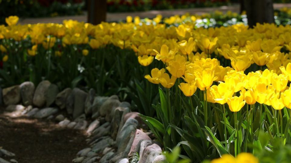 باغ ایرانی، بهشتی برای پایتخت نشینان