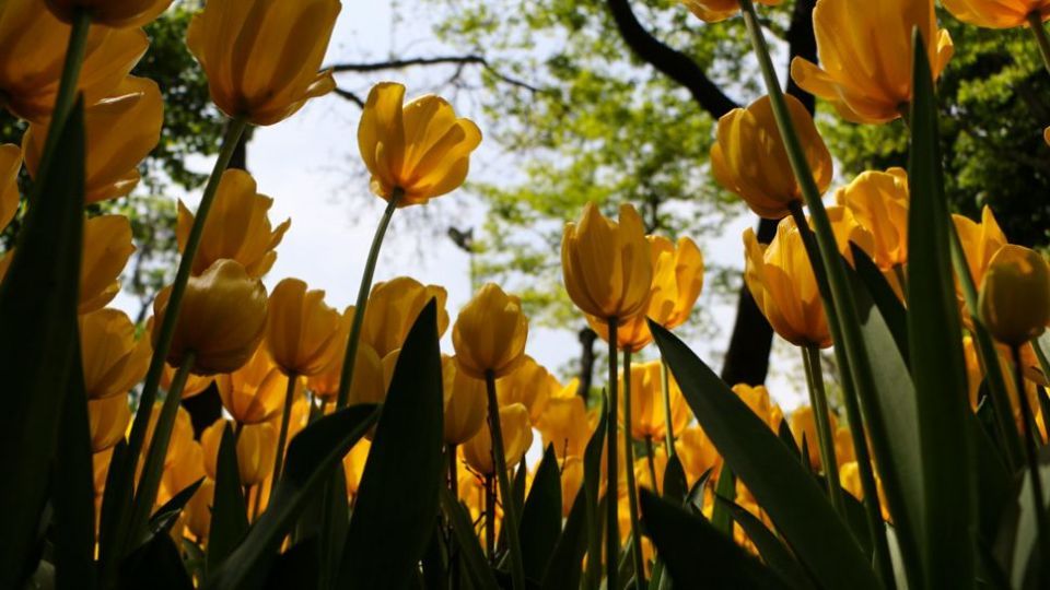 باغ ایرانی، بهشتی برای پایتخت نشینان