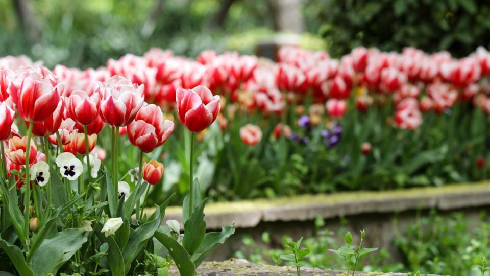 باغ ایرانی، بهشتی برای پایتخت نشینان