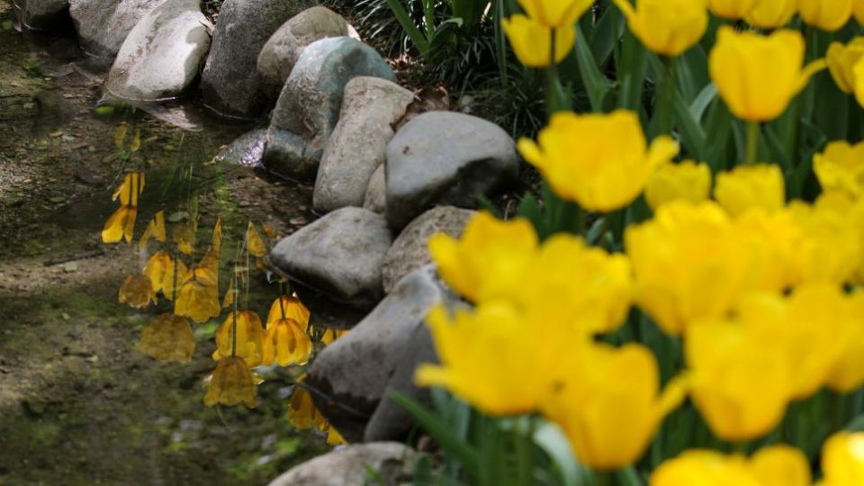 باغ ایرانی، بهشتی برای پایتخت نشینان