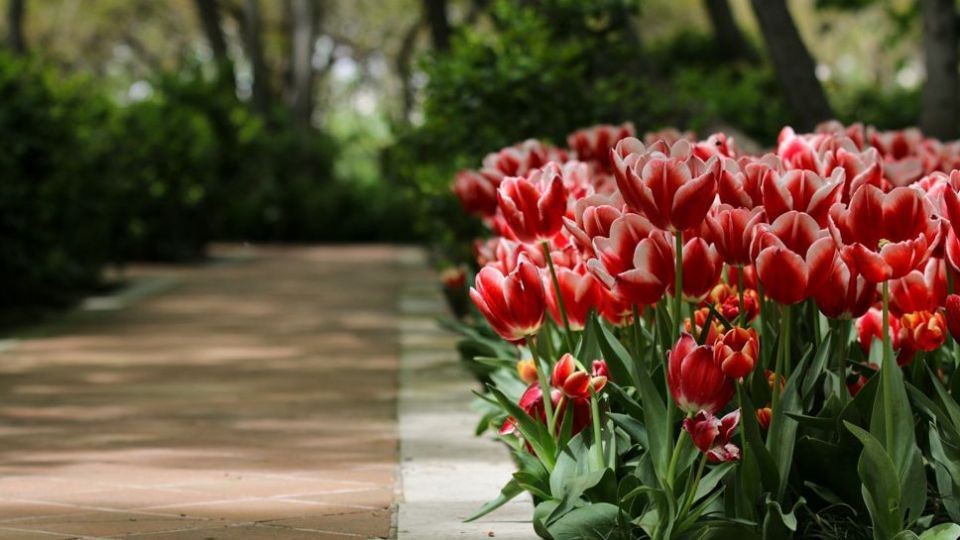 باغ ایرانی، بهشتی برای پایتخت نشینان