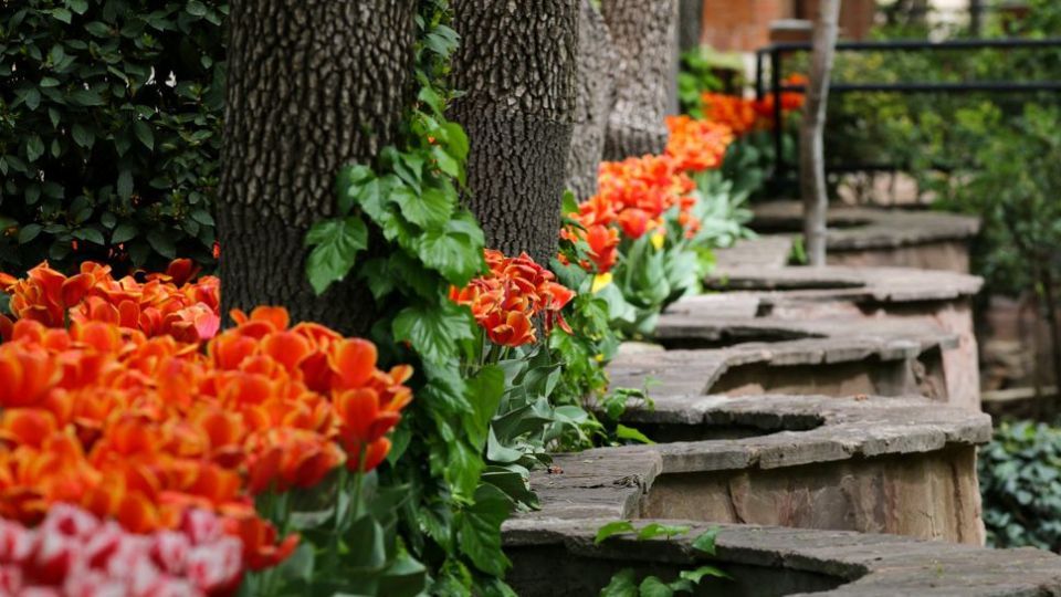 باغ ایرانی، بهشتی برای پایتخت نشینان