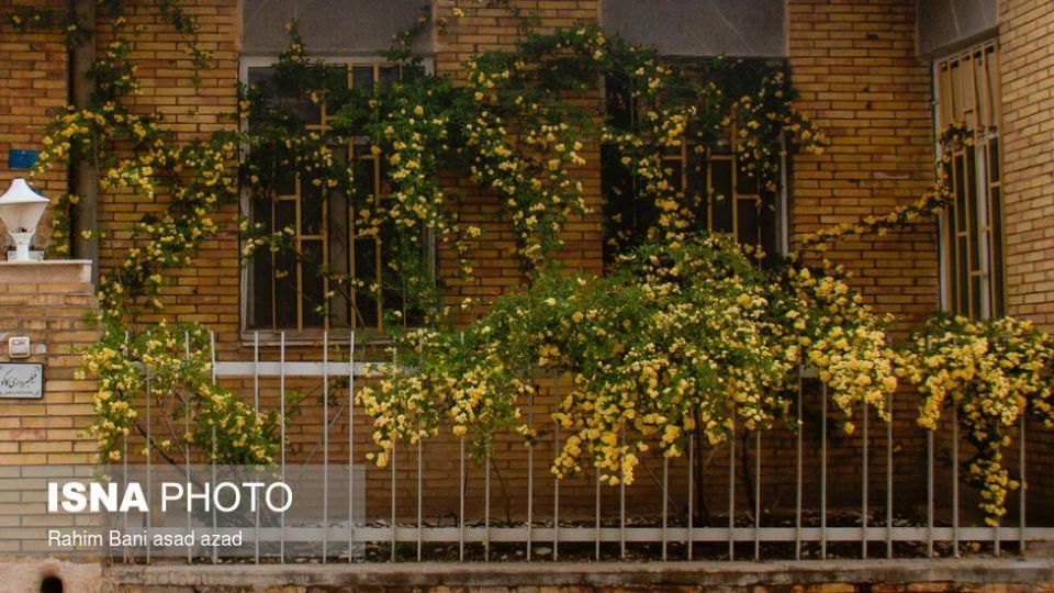 بهار بر سر خانه‌ها