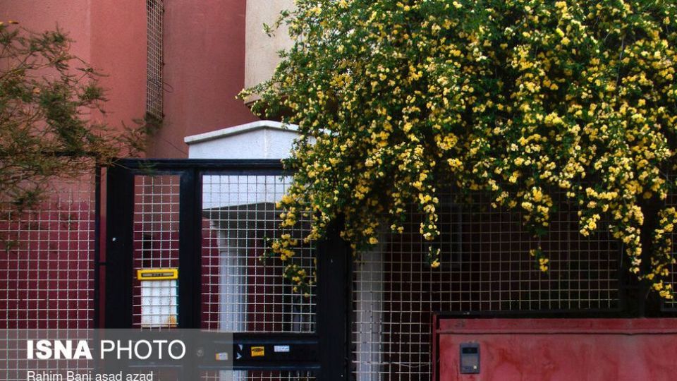 بهار بر سر خانه‌ها