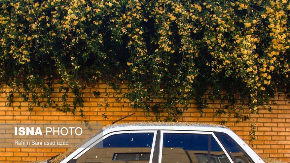 بهار بر سر خانه‌ها