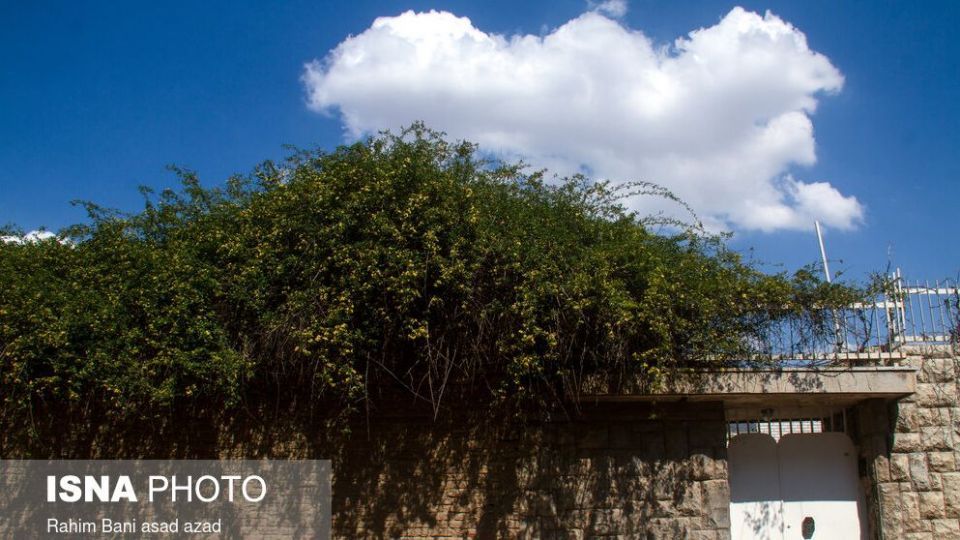 بهار بر سر خانه‌ها