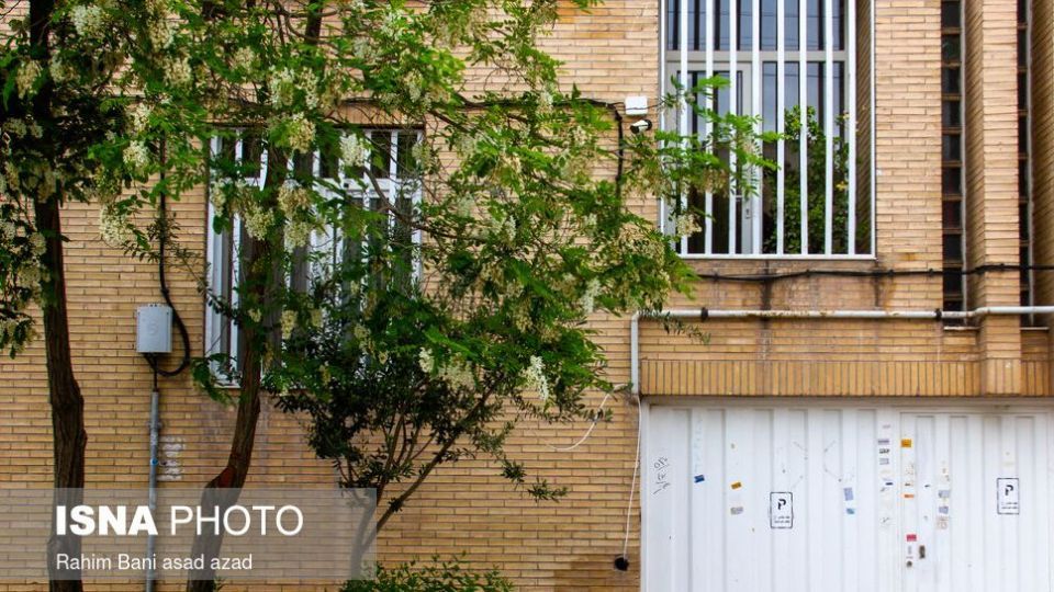 بهار بر سر خانه‌ها