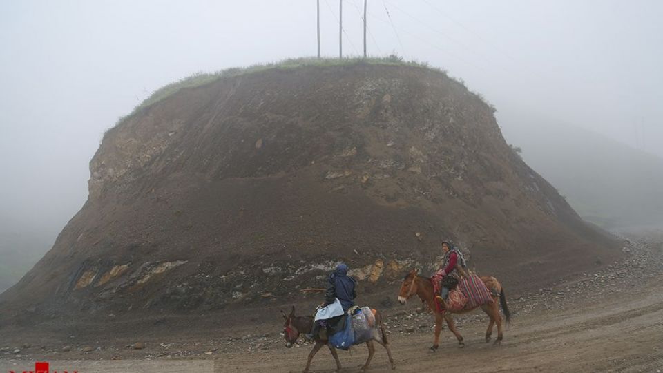 دامداری در کلات