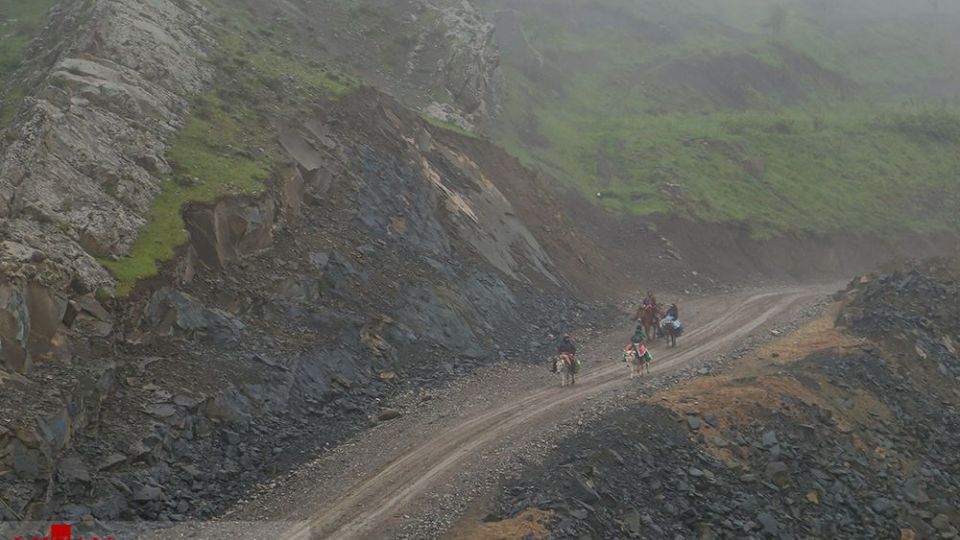 دامداری در کلات