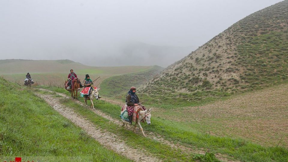 دامداری در کلات