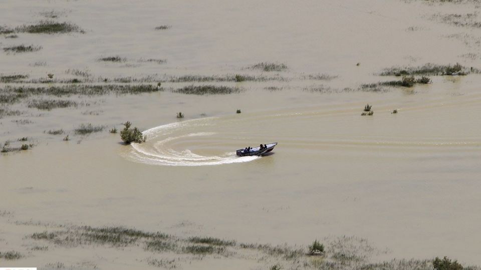 حالِ خوبِ «هامون»
