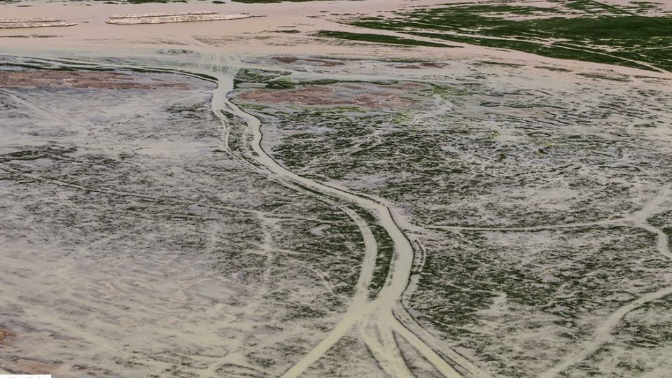 حالِ خوبِ «هامون»