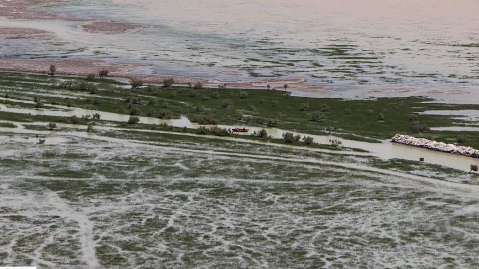 حالِ خوبِ «هامون»