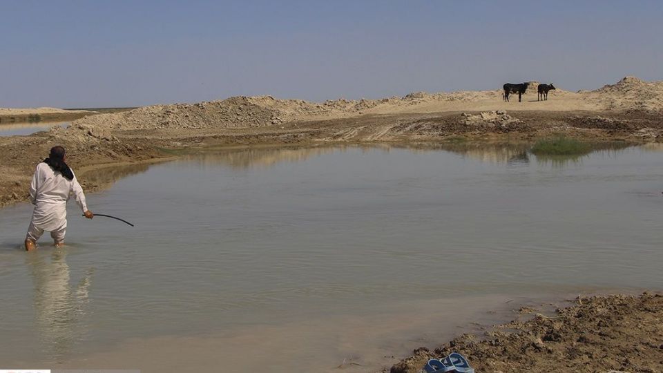 حالِ خوبِ «هامون»