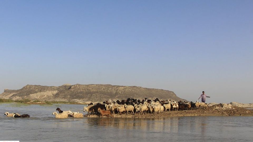 حالِ خوبِ «هامون»