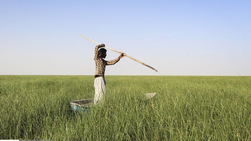 حالِ خوبِ «هامون»