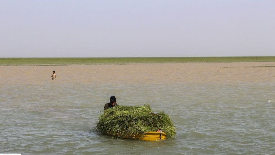 حالِ خوبِ «هامون»