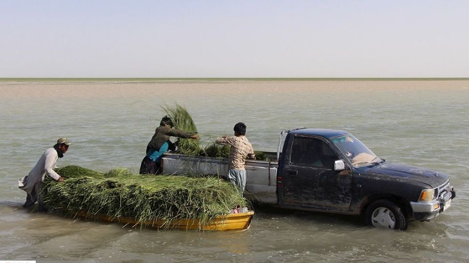 حالِ خوبِ «هامون»