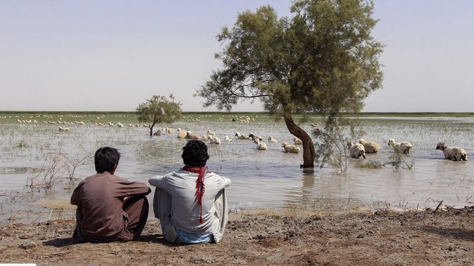 حالِ خوبِ «هامون»